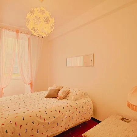Apartment Tres Bel Centre Ville Ajaccio